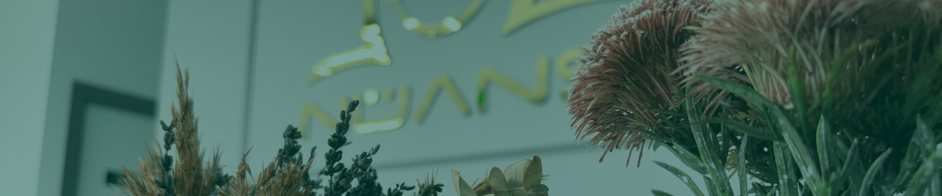 https://nuansdis.com/wp-content/uploads/2025/12/nuans-hakkimizda-banner.jpg